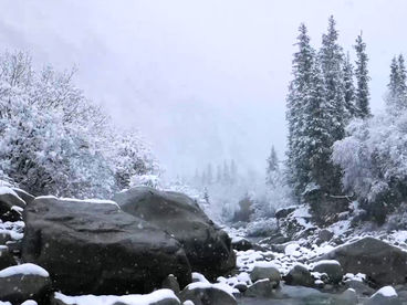 Снегопад Ала-Арча Снегопад Ала-Арча