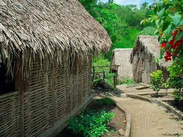 Саванна рабов на Мартинике Саванна рабов на Мартинике