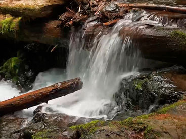 Водопады Пантер крик Водопады Пантер крик