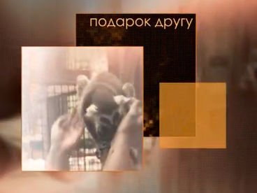 Подарок другу