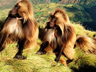 Горы: небесные врата Горы: небесные врата