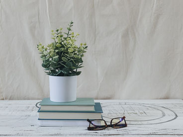 Возрождение сада