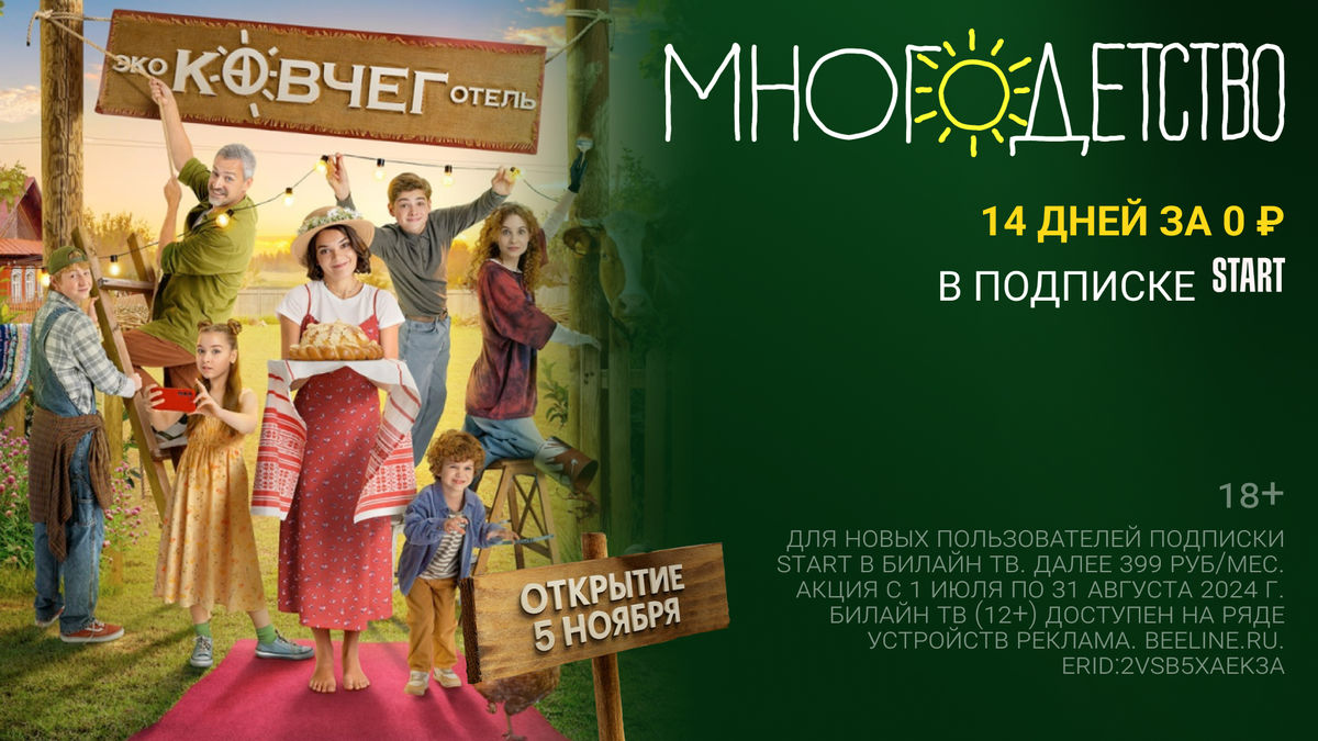 Многодетство