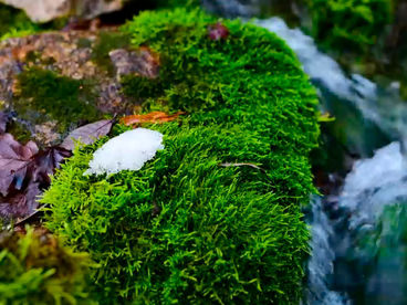 Источник Красный Ключ Источник Красный Ключ