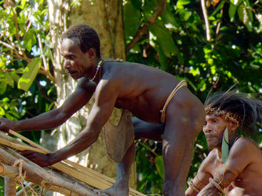 Архитектурная доблесть племени короваи из Западного Папуа Архитектурная доблесть племени короваи из Западного Папуа