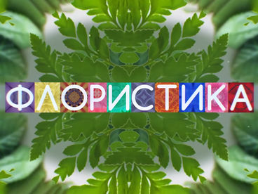 Флористика