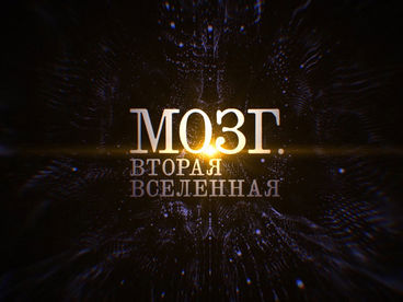 Мозг. Вторая вселенная