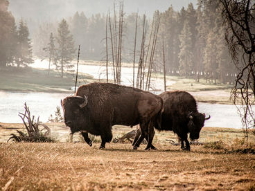 От Йеллоустоуна до Юкона