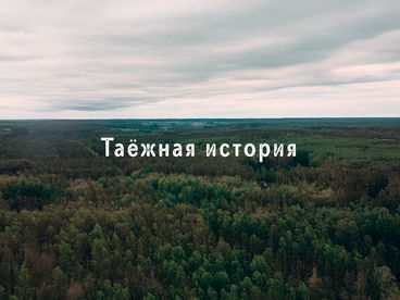 Таежная история