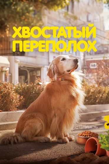 Хвостатый переполох