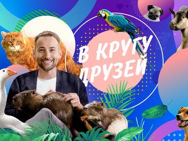 В кругу друзей. Эфир от 18.05.202 В кругу друзей. Эфир от 18.05.202