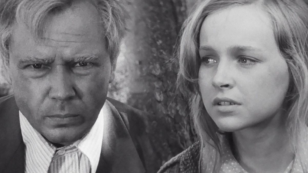 Волчья стая