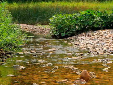 У реки Нугуш