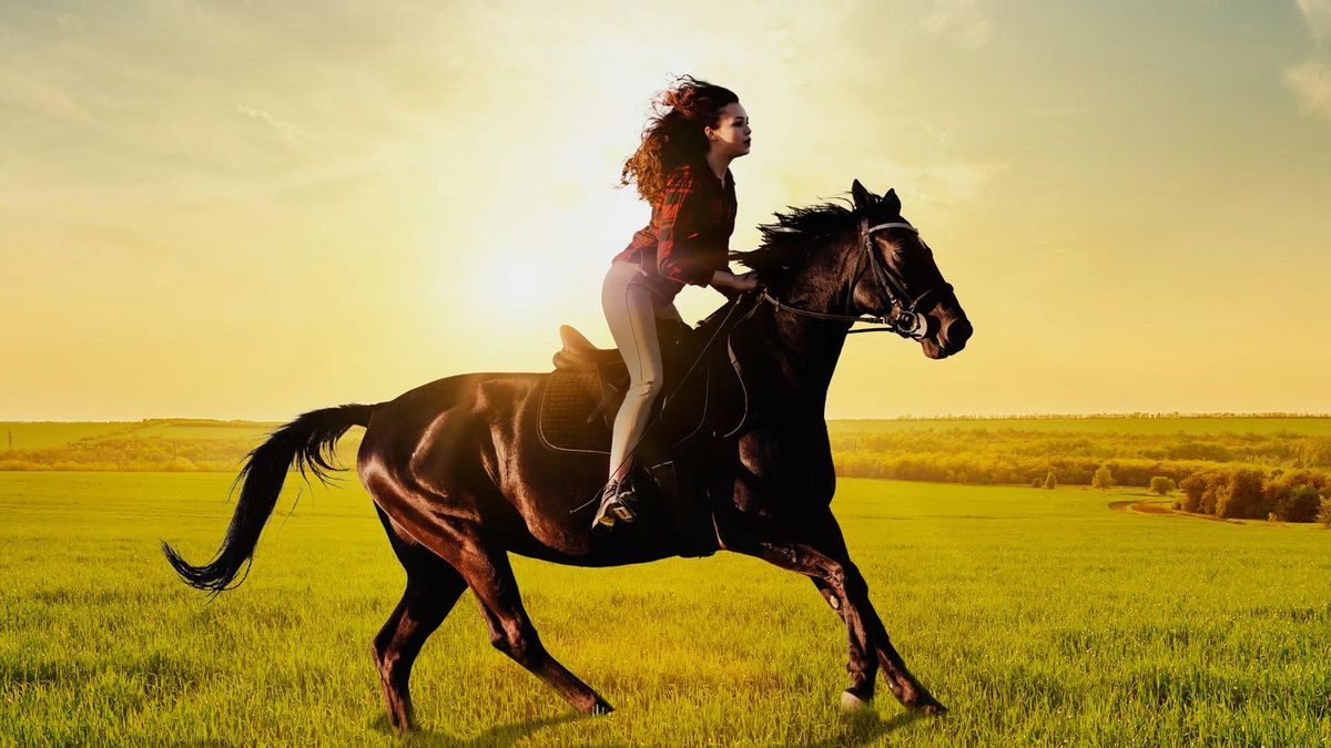 Галопом к мечте