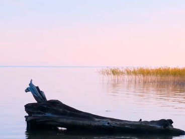 Новосибирское водохранилище Новосибирское водохранилище