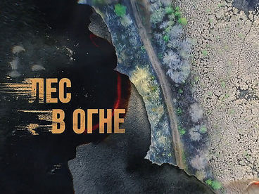 Лес в огне Лес в огне