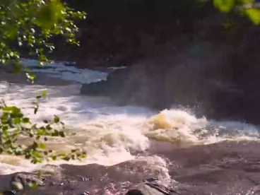 Река Западная Лица Река Западная Лица