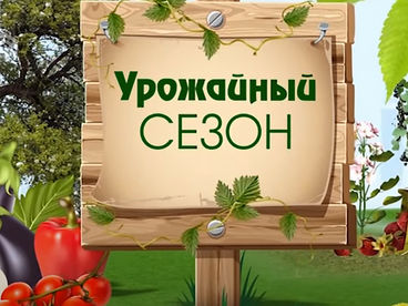 Урожайный сезон Урожайный сезон