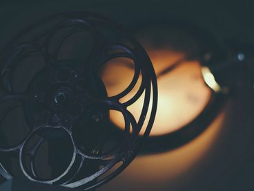 Национальный парк Мещера. Эпоха возрождения Национальный парк Мещера. Эпоха возрождения