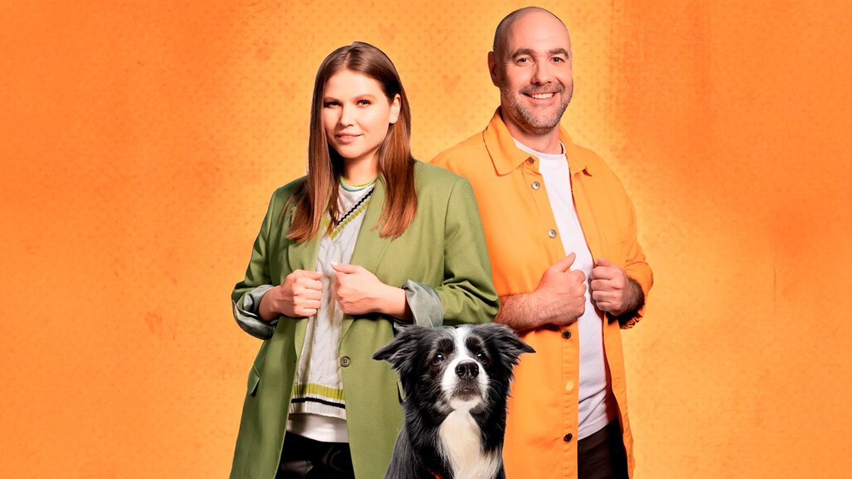 В мире домашних животных