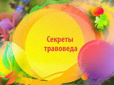 Секреты травоведа Секреты травоведа