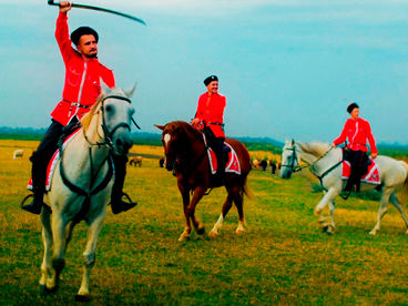 Казачество Казачество