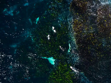 Австралия с высоты птичьего полёта