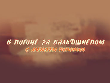 В погоне за вальдшнепом с Алексеем Поповым В погоне за вальдшнепом с Алексеем Поповым