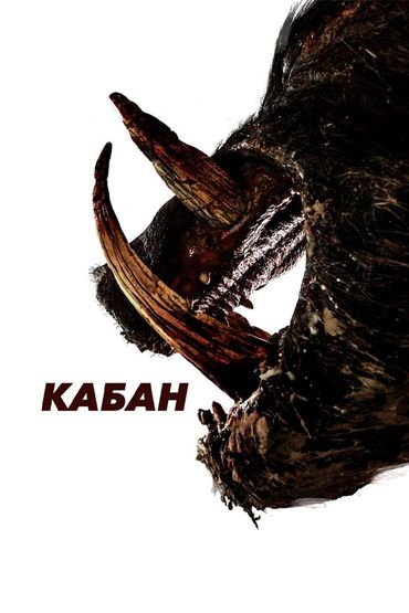 Кабан