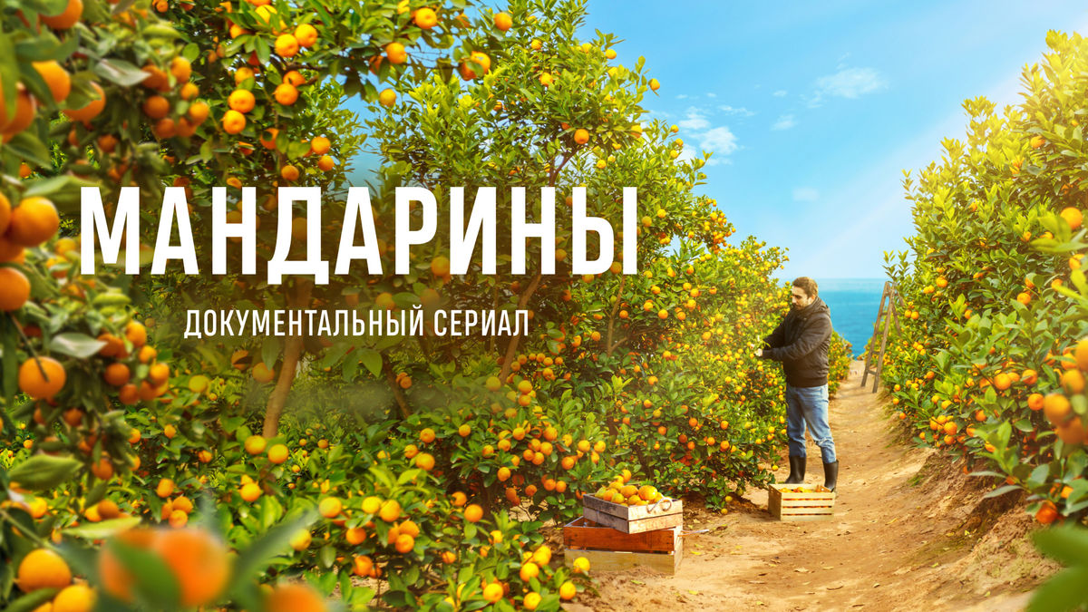 1 серия