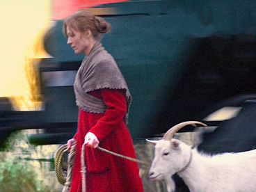 Путешествие с домашними животными