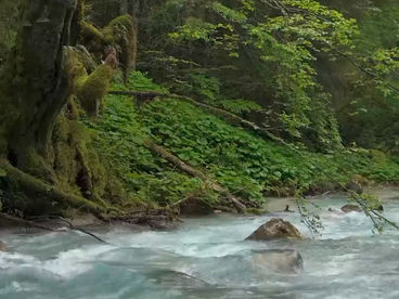 Река Хаммерсбах Река Хаммерсбах