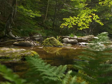 Река Патишка Северная Македония