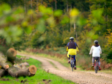 Пэи де Брей в Нормандии Пэи де Брей в Нормандии