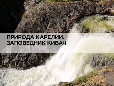 Природа Карелии. Заповедник Кивач