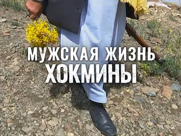 Мужская жизнь Хокмины Мужская жизнь Хокмины