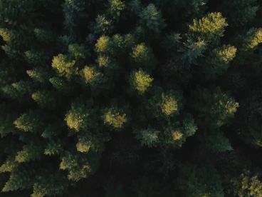 Три минуты покоя Три минуты покоя