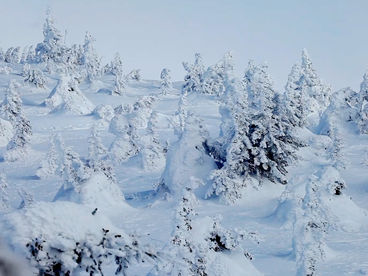 Хребет Зигальга Хребет Зигальга