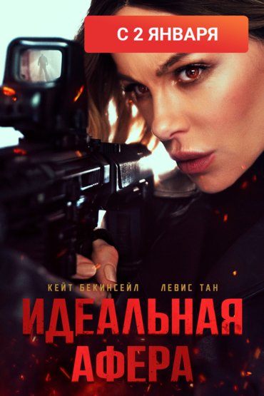 Идеальная афера