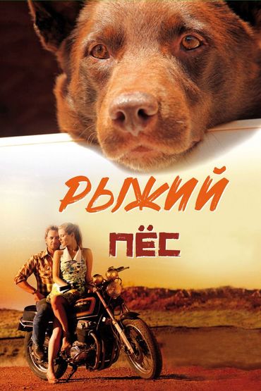 Рыжий пёс Рыжий пёс