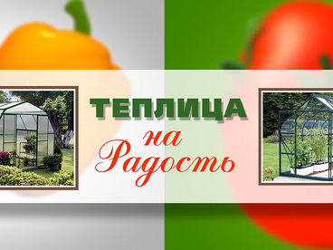 Теплица на радость
