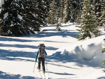 Ски-альпинизм. Кубок мира. Спринт. Трансляция из Швейцарии