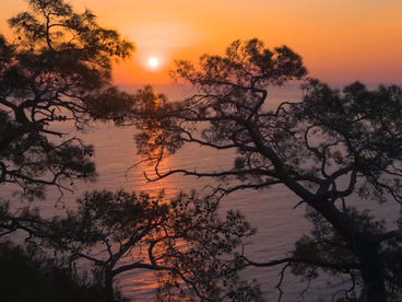 На берегу моря Турция На берегу моря Турция