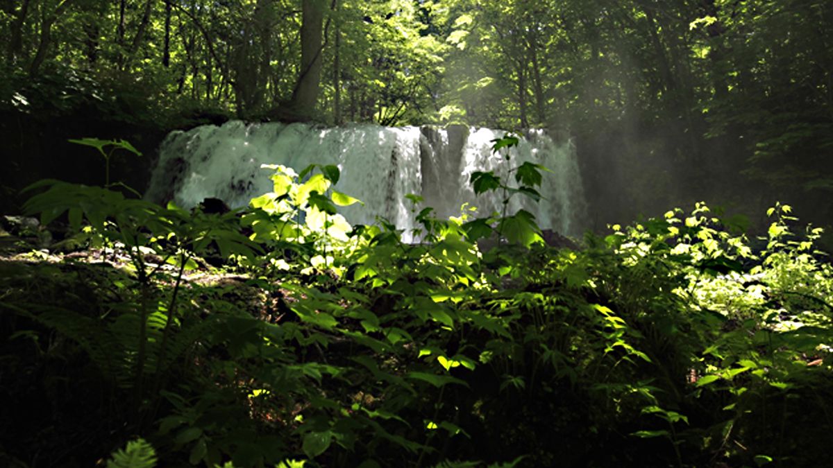 Такой разный Тохоку