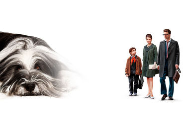 Каждый мечтает о собаке