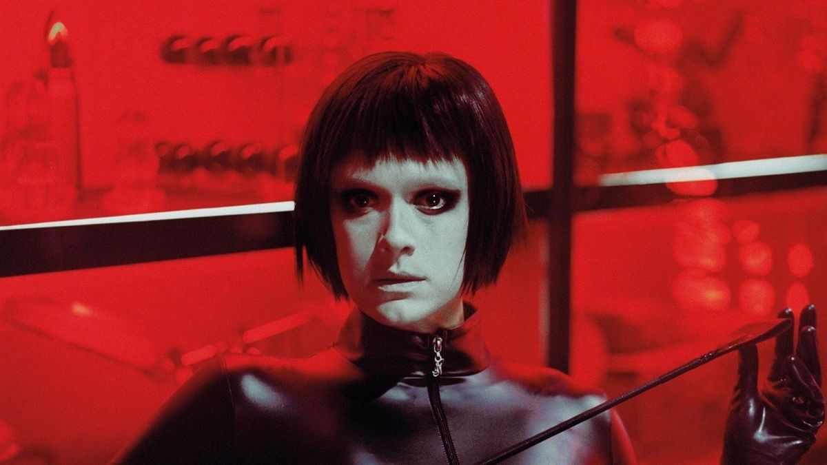 Собаки не носят штанов