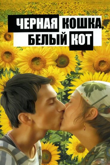 Чёрная кошкa, белый кот