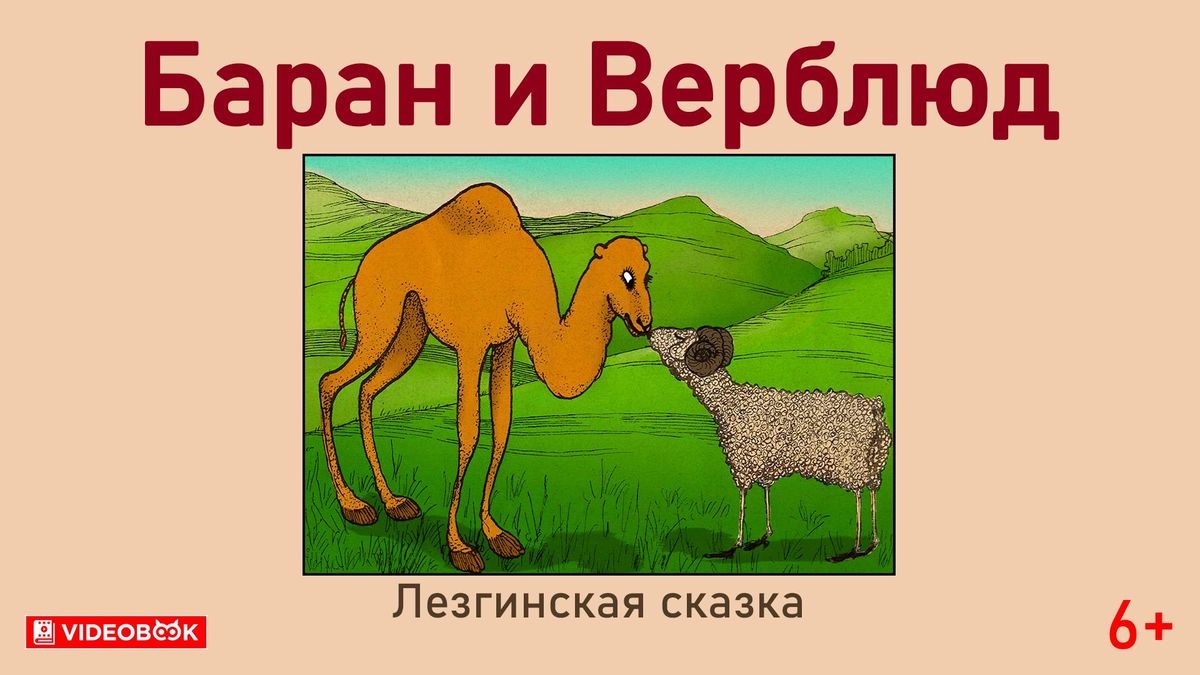 Верблюд и баран