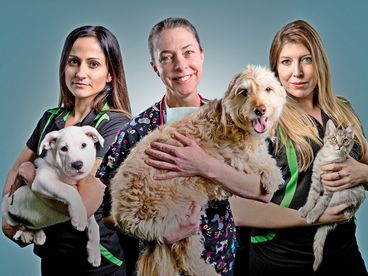 Спасатели домашних питомцев Спасатели домашних питомцев