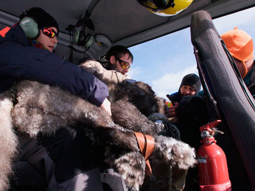 Возвращение волков